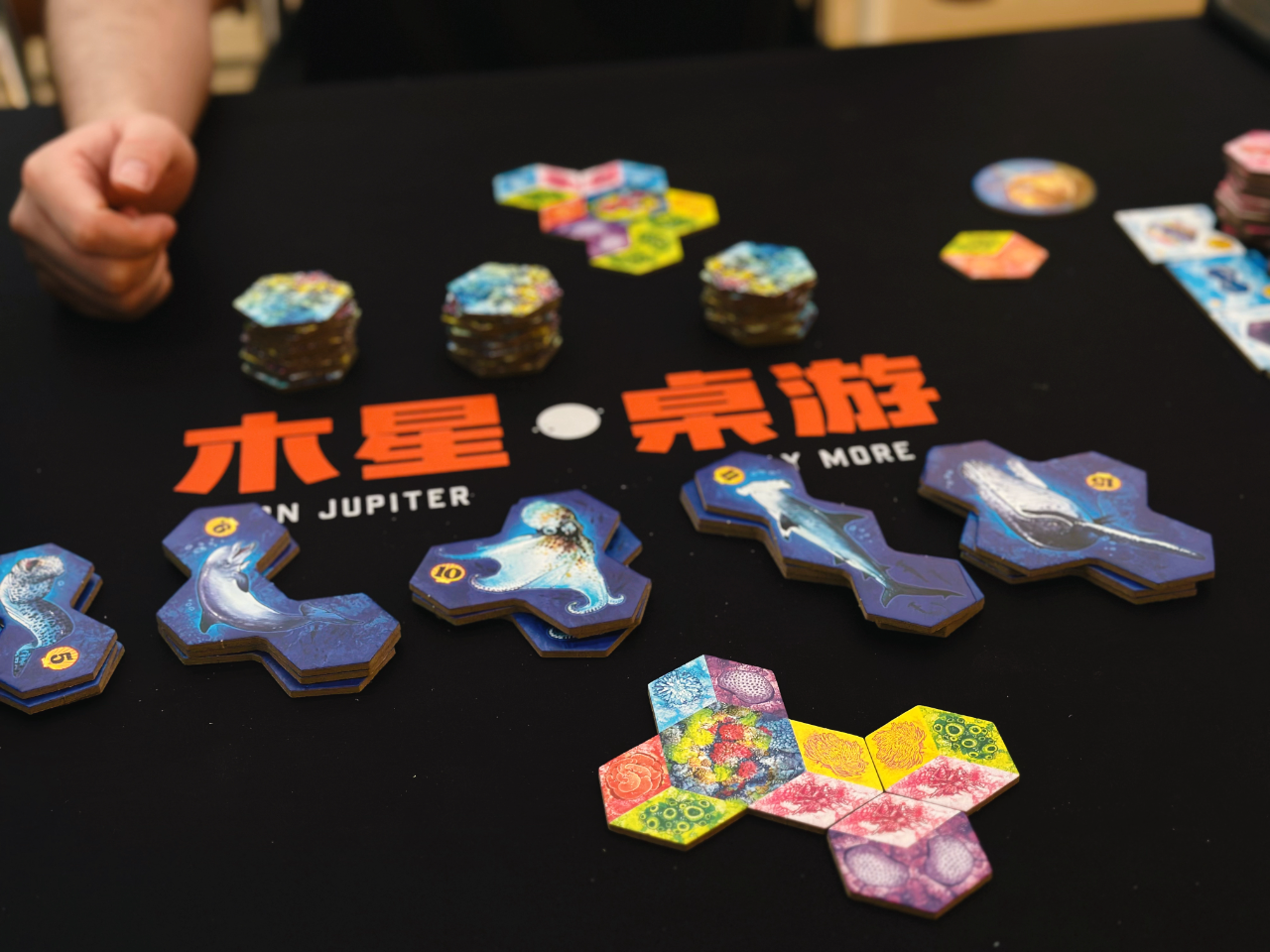 2024-04-28_22.52.42_木星桌游_木遇星河财富港店）_谁能拒绝一款海洋拼图桌游呢_7